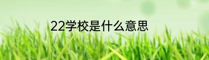 22学校是什么意思