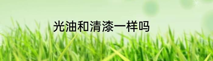 光油和清漆一样吗