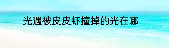 光遇被皮皮虾撞掉的光在哪