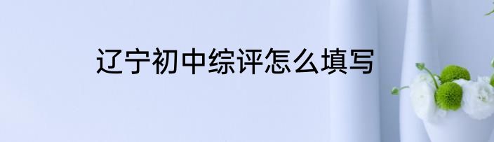 辽宁初中综评怎么填写
