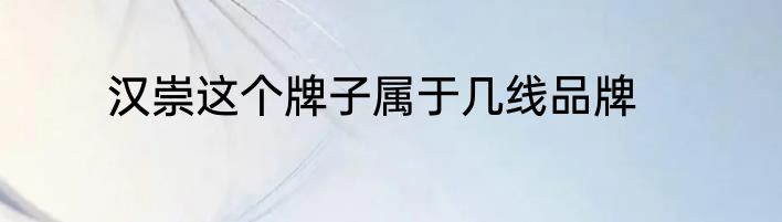汉崇这个牌子属于几线品牌