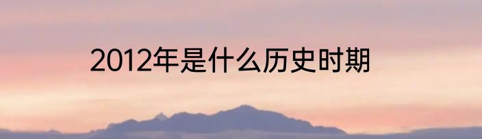 2012年是什么历史时期