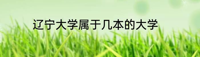 辽宁大学属于几本的大学