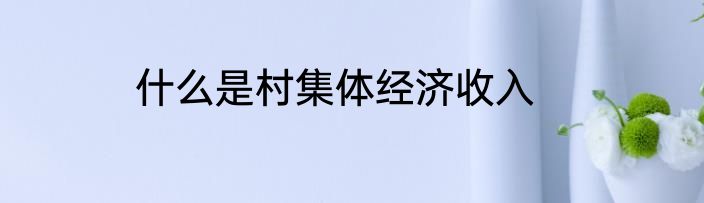 什么是村集体经济收入