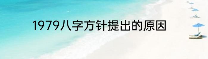 1979八字方针提出的原因