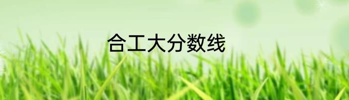 合工大分数线
