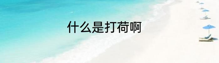 什么是打荷啊