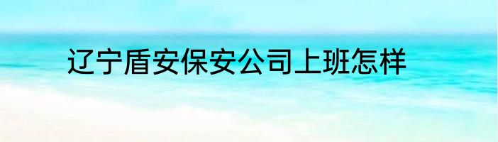 辽宁盾安保安公司上班怎样