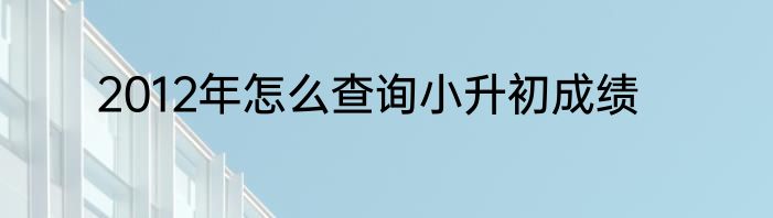 2012年怎么查询小升初成绩