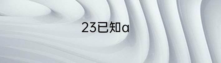 23已知a