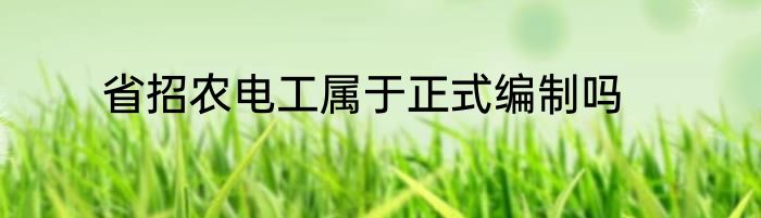 省招农电工属于正式编制吗