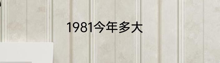 1981今年多大