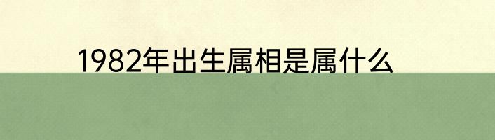 1982年出生属相是属什么