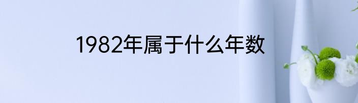 1982年属于什么年数