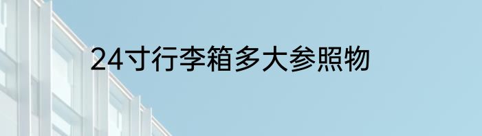 24寸行李箱多大参照物