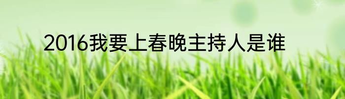 2016我要上春晚主持人是谁