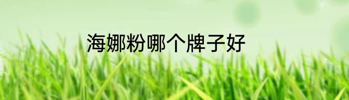 海娜粉哪个牌子好