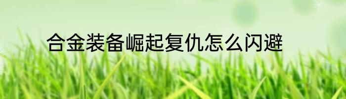 合金装备崛起复仇怎么闪避