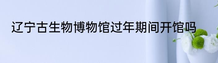 辽宁古生物博物馆过年期间开馆吗