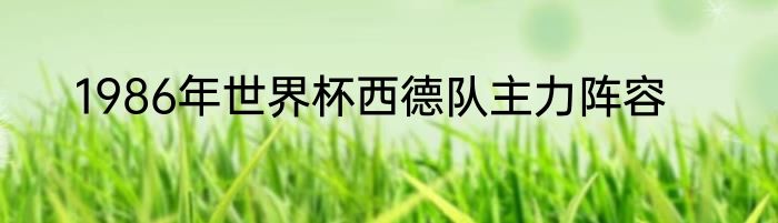 1986年世界杯西德队主力阵容
