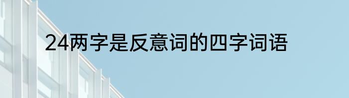 24两字是反意词的四字词语