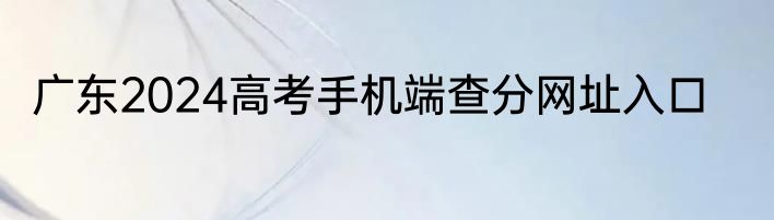 广东2024高考手机端查分网址入口
