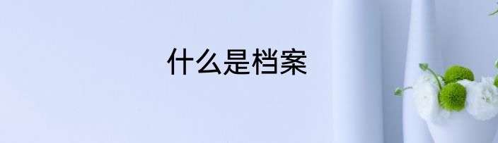 什么是档案