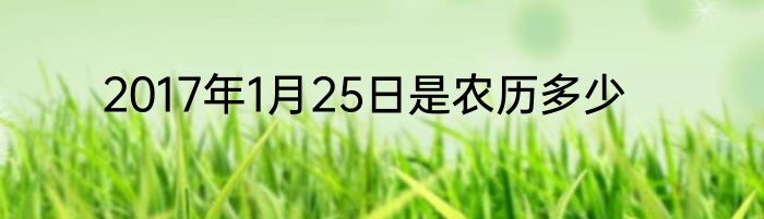 2017年1月25日是农历多少