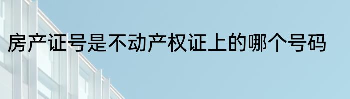 房产证号是不动产权证上的哪个号码