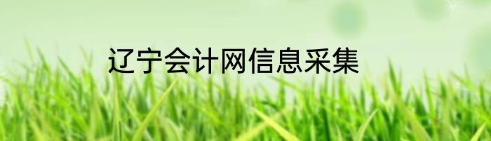 辽宁会计网信息采集