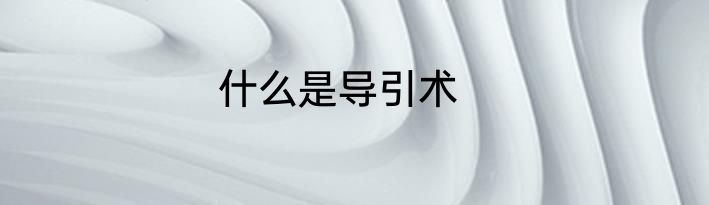 什么是导引术