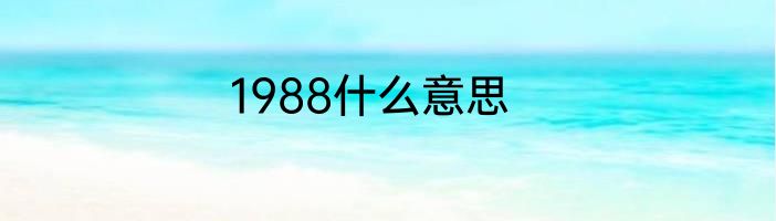1988什么意思
