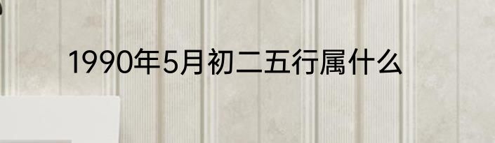 1990年5月初二五行属什么