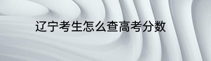 辽宁考生怎么查高考分数