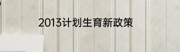 2013计划生育新政策