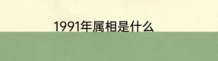1991年属相是什么