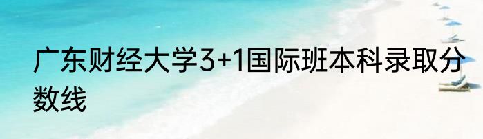 广东财经大学3+1国际班本科录取分数线