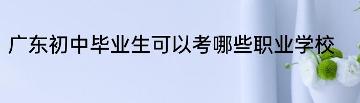 广东初中毕业生可以考哪些职业学校