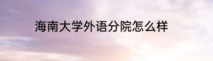 海南大学外语分院怎么样