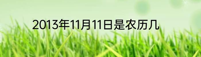 2013年11月11日是农历几