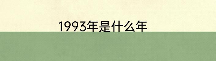 1993年是什么年