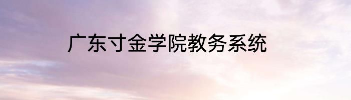 广东寸金学院教务系统