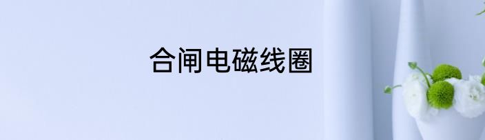合闸电磁线圈
