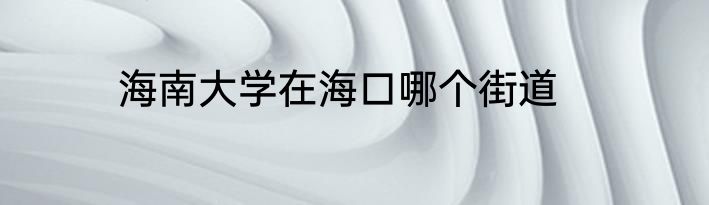 海南大学在海口哪个街道