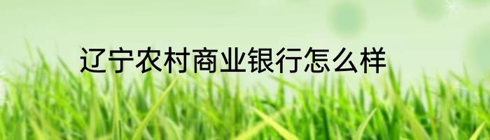 辽宁农村商业银行怎么样