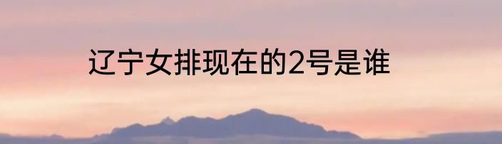 辽宁女排现在的2号是谁