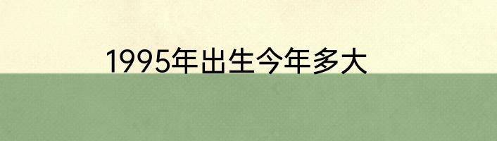 1995年出生今年多大