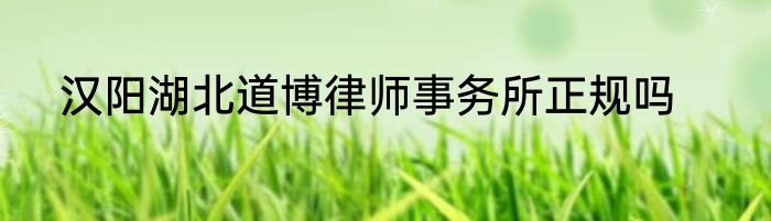 汉阳湖北道博律师事务所正规吗