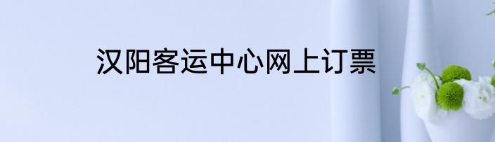 汉阳客运中心网上订票
