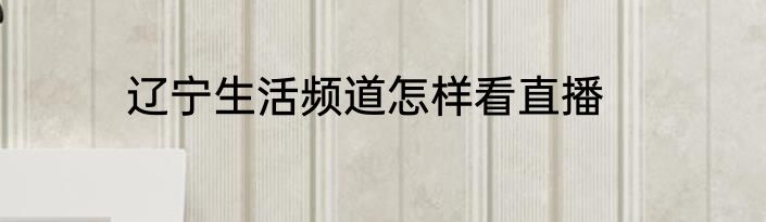 辽宁生活频道怎样看直播